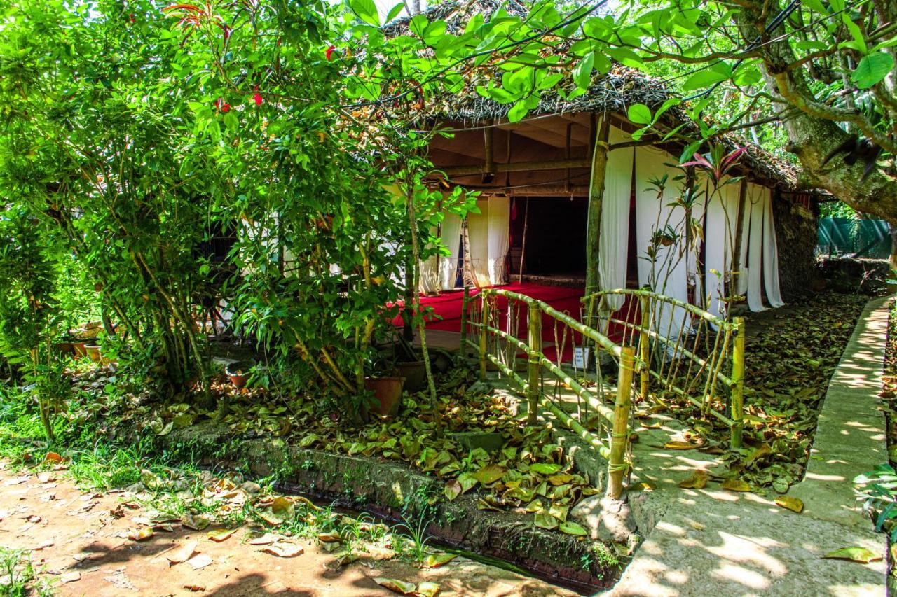 Отель Eden Garden Варкала Экстерьер фото
